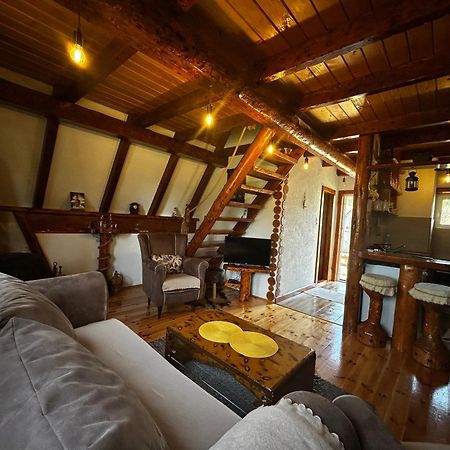 Vila Sarigora Žabljak Zewnętrze zdjęcie