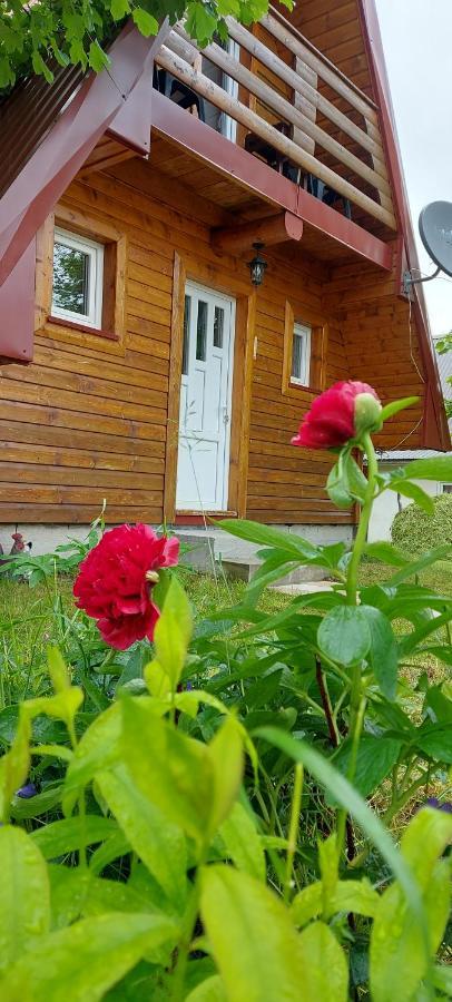 Vila Sarigora Žabljak Zewnętrze zdjęcie
